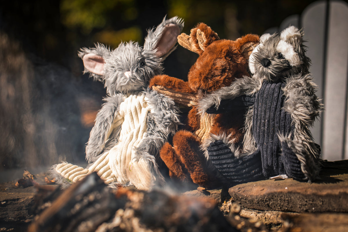 Redwood Raccoon X-Brace® Plush Dog Toy | HuggleHounds