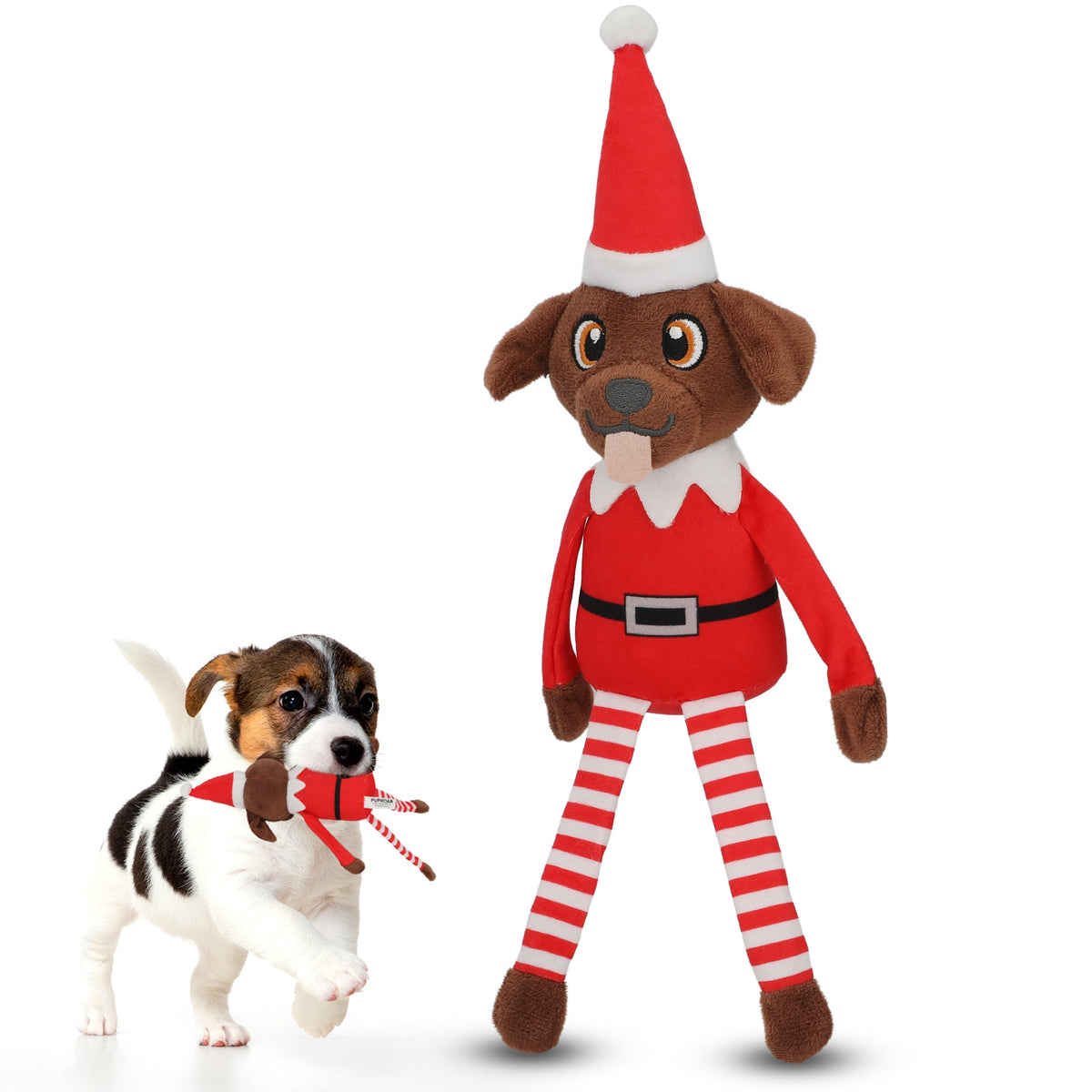 Pooch on a Perch Christmas Dog Toy