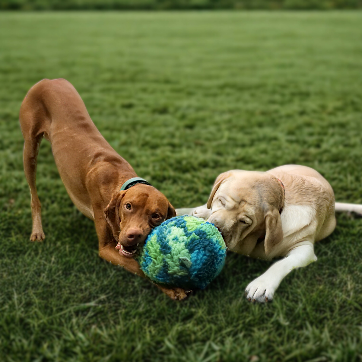 HuggleSnuffles™ SnuffleSphere™ Interactive Dog Puzzle Ball