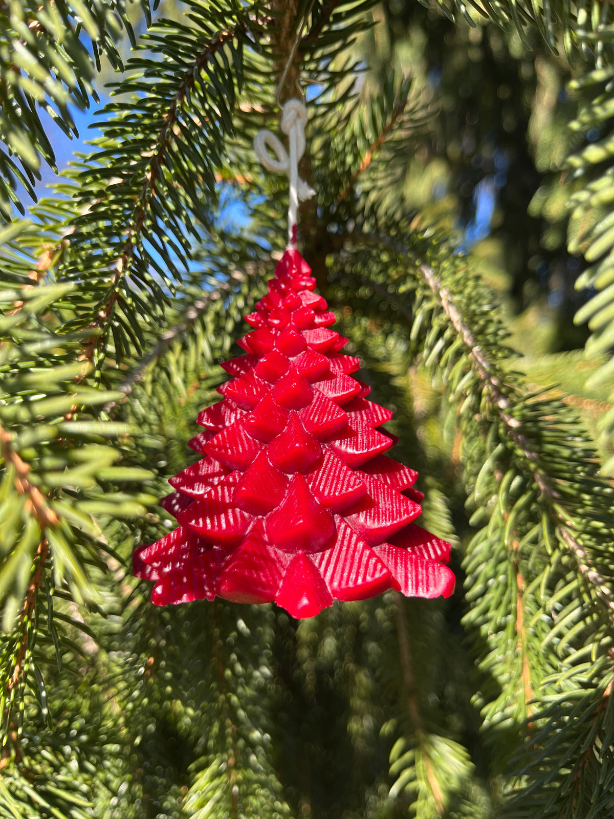 Everlasting Christmas Tree Candle