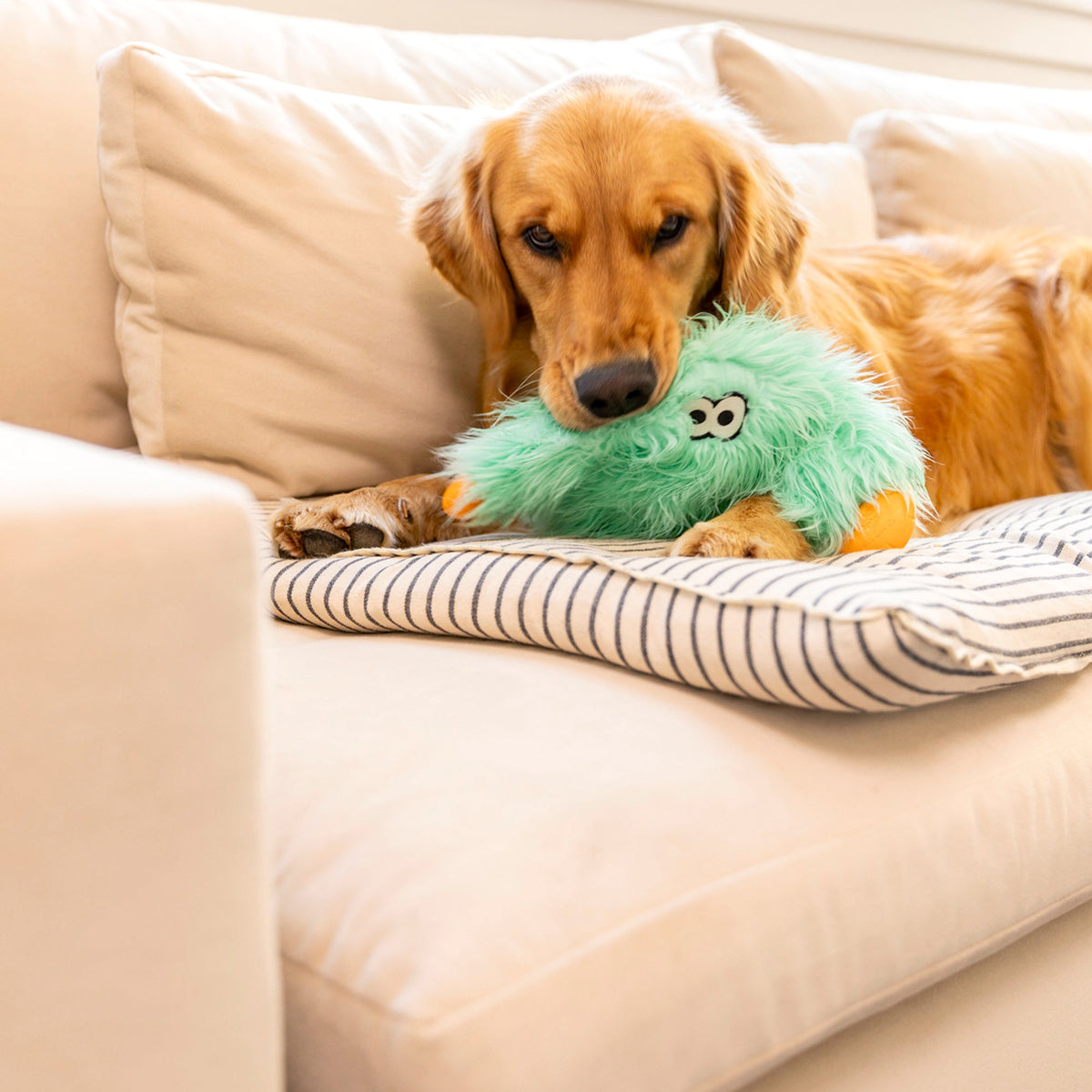West Paw Rowdies® Bjorn Plush Dog Toy