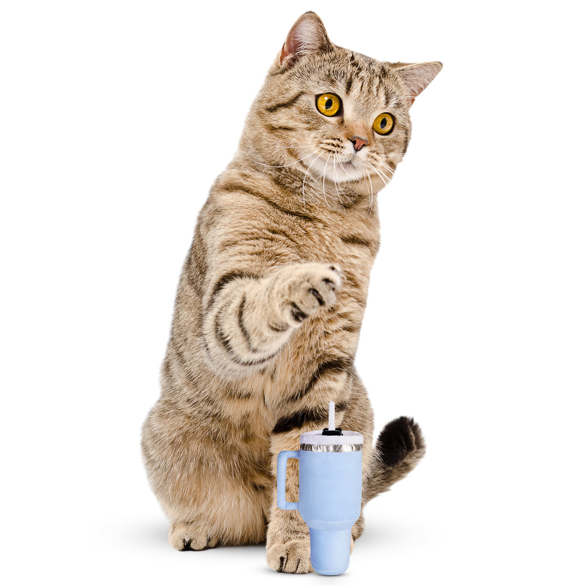 Give your pup a cup of their own with this plush tumbler dog toy featuring a built-in squeaker, soft exterior, and adorable drink-inspired design.
