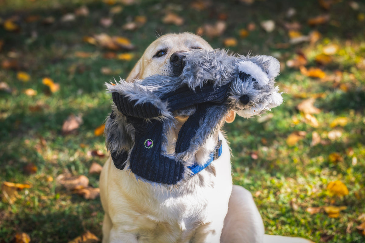Redwood Raccoon X-Brace® Plush Dog Toy | HuggleHounds