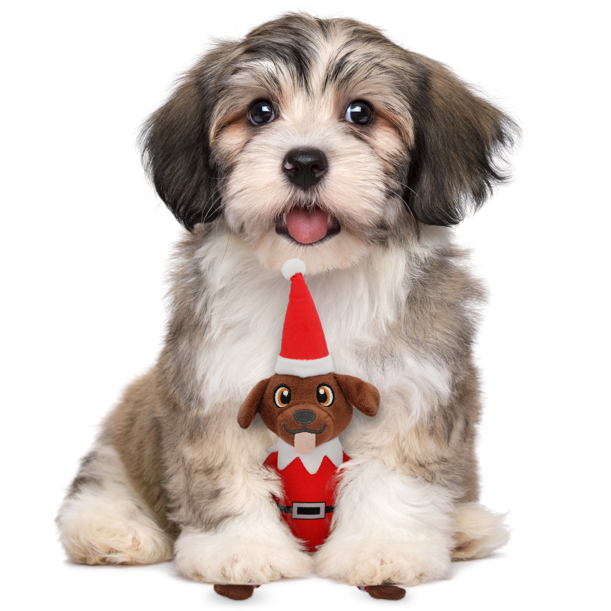 Pooch on a Perch Christmas Dog Toy