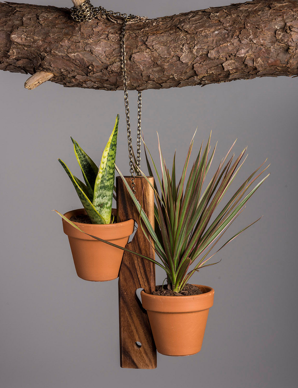 Acacia Wood Hanging Plant Holder – 6 Pot Display Set