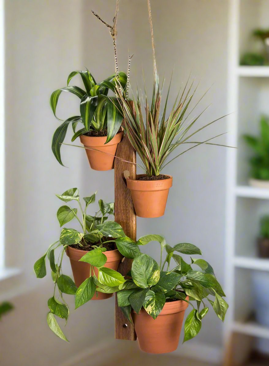 Acacia Wood Hanging Plant Holder – 6 Pot Display Set
