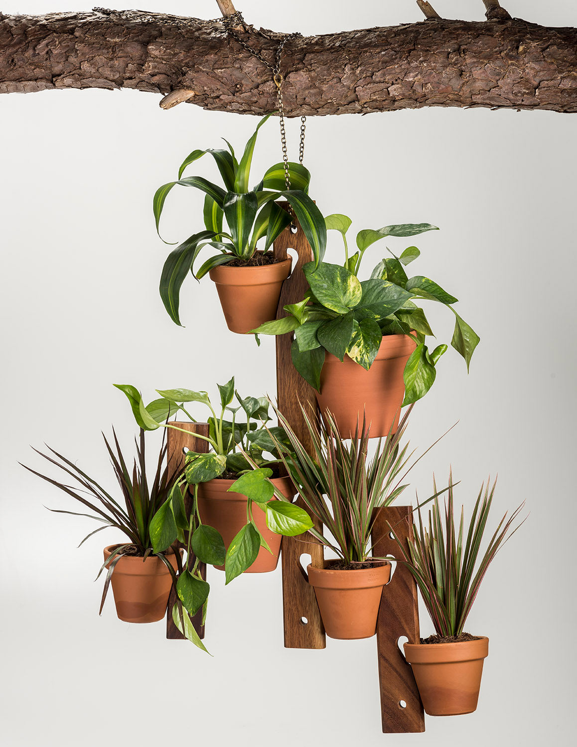 Acacia Wood Hanging Plant Holder – 6 Pot Display Set