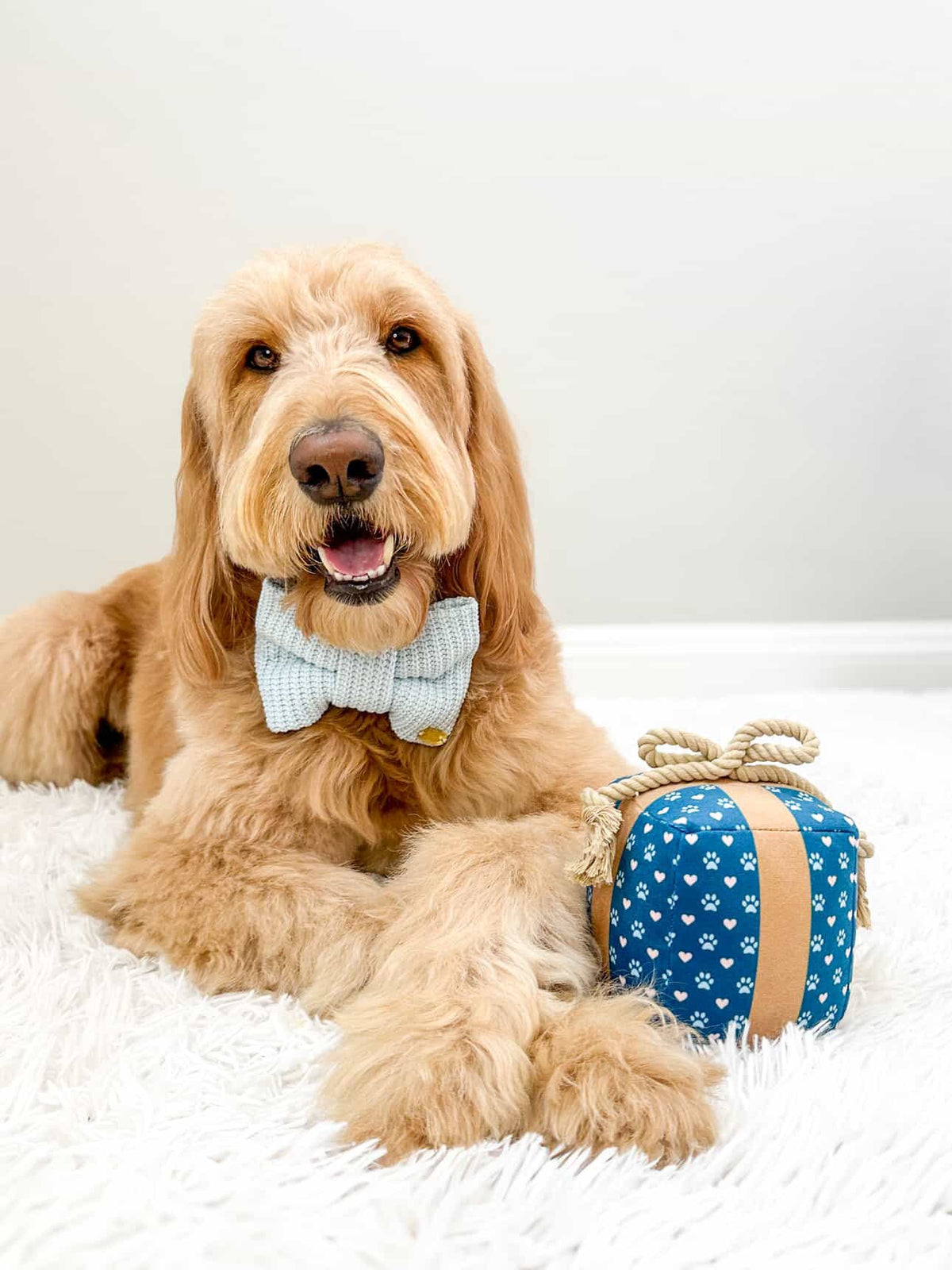Gift Box Squeaky & Crinkle Dog Toy