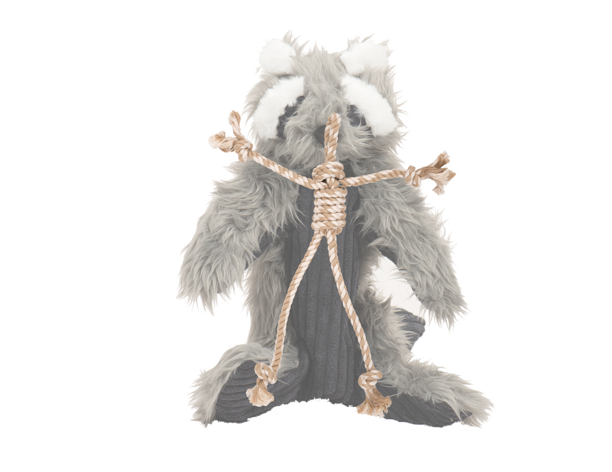 Redwood Raccoon X-Brace® Plush Dog Toy | HuggleHounds