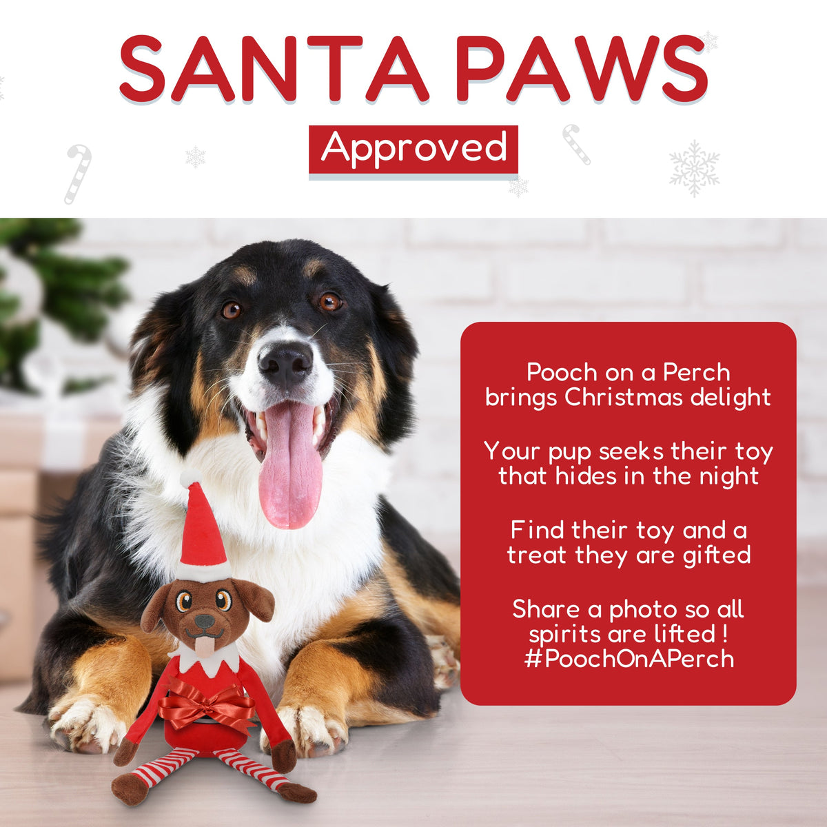 Pooch on a Perch Christmas Dog Toy