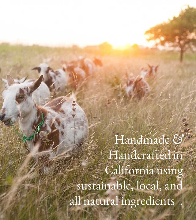 Farmer's Market | Goat Milk Hand & Body Lotion