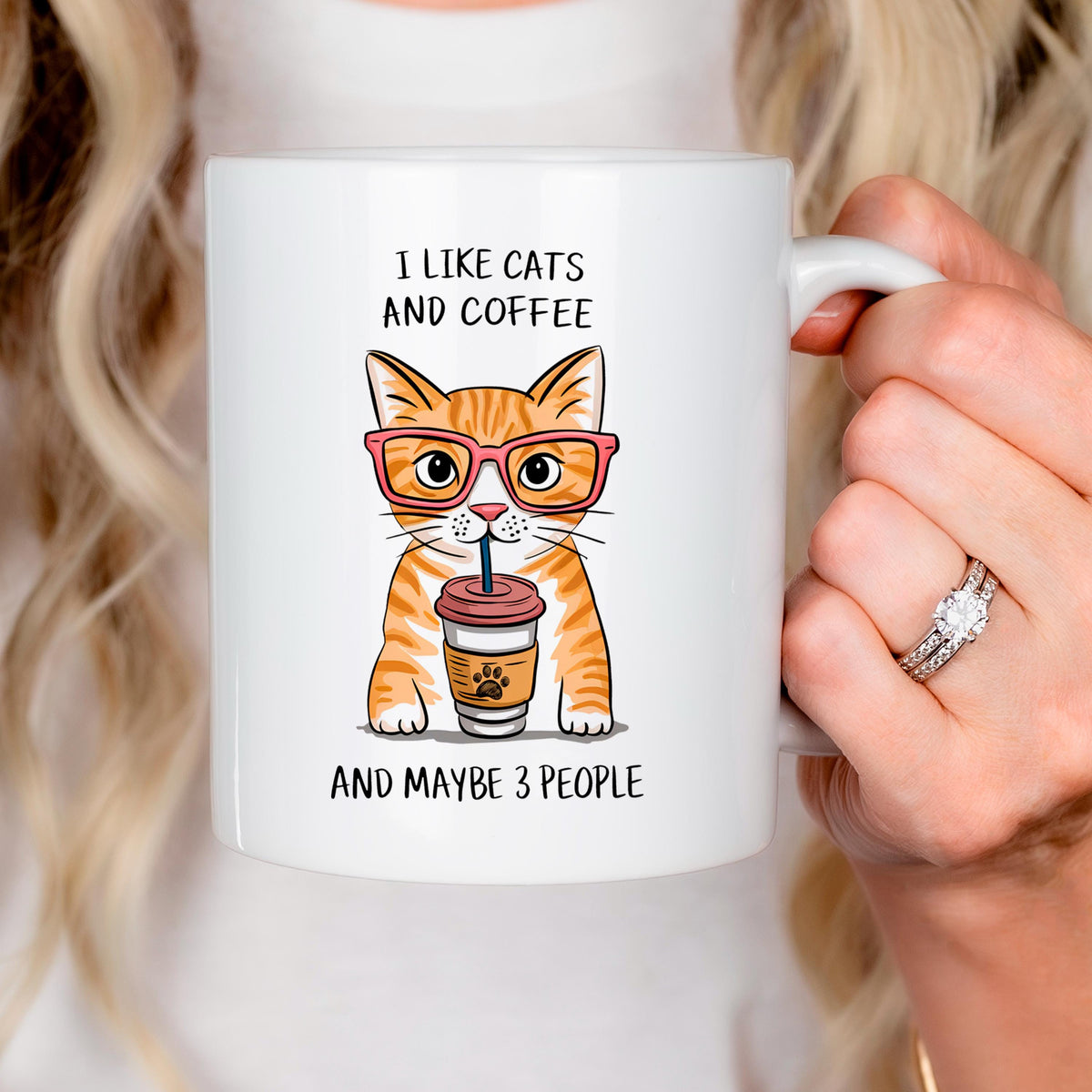 I Like Cats & Coffee & Maybe 3 People Mug
