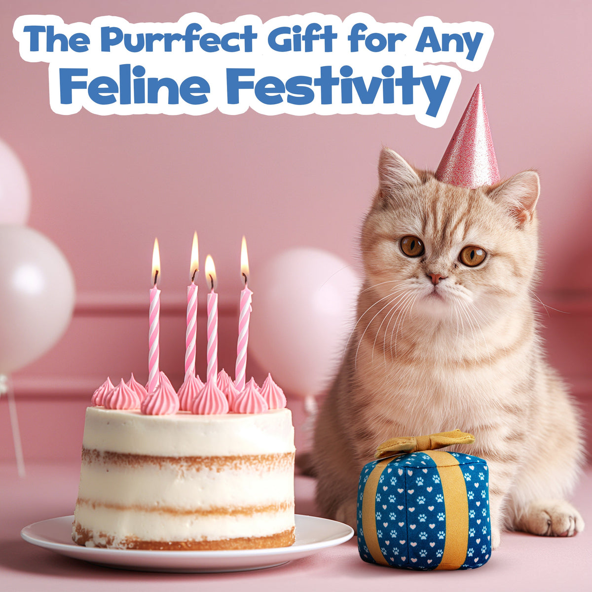 Gift Box Catnip & Crinkle Cat Toy
