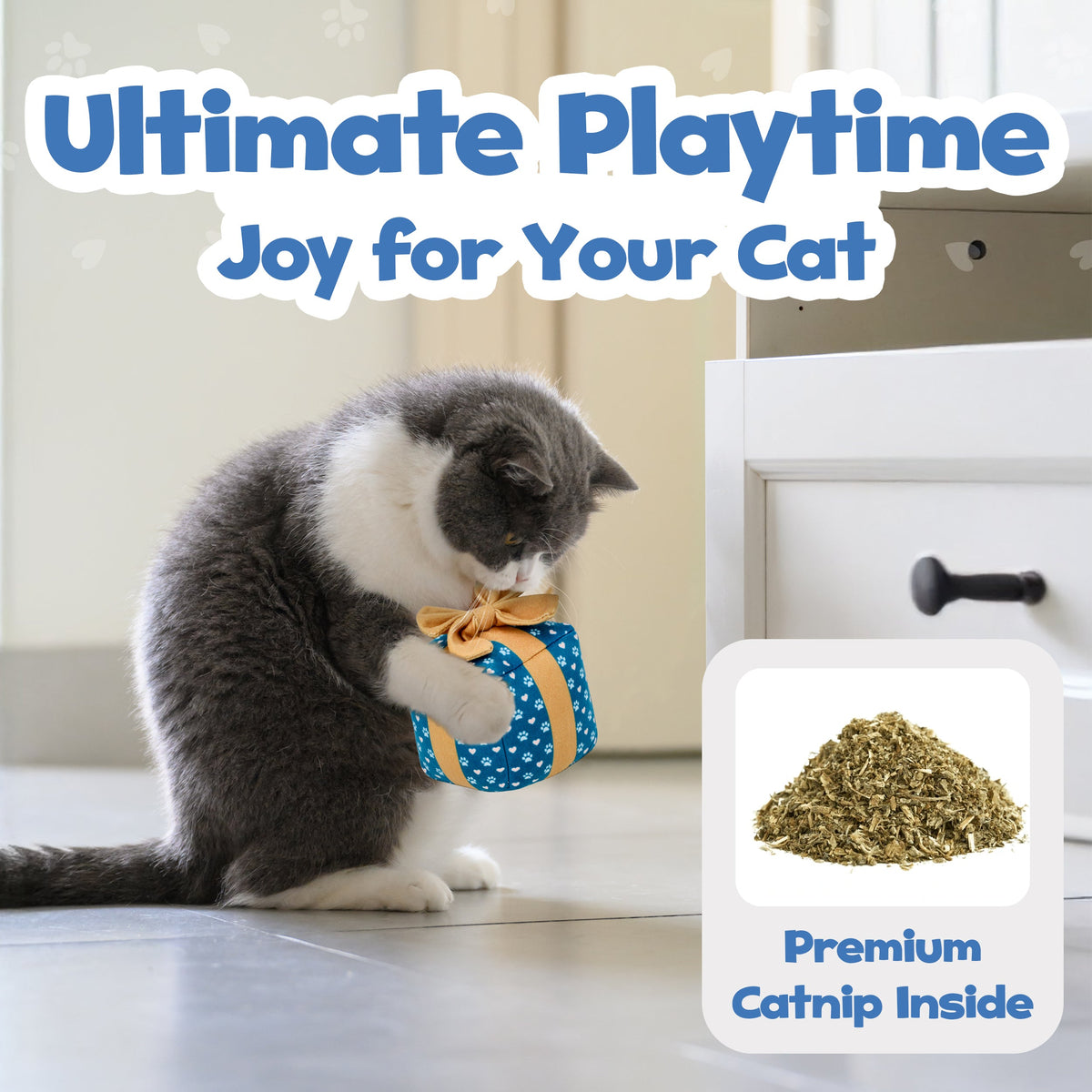 Gift Box Catnip & Crinkle Cat Toy