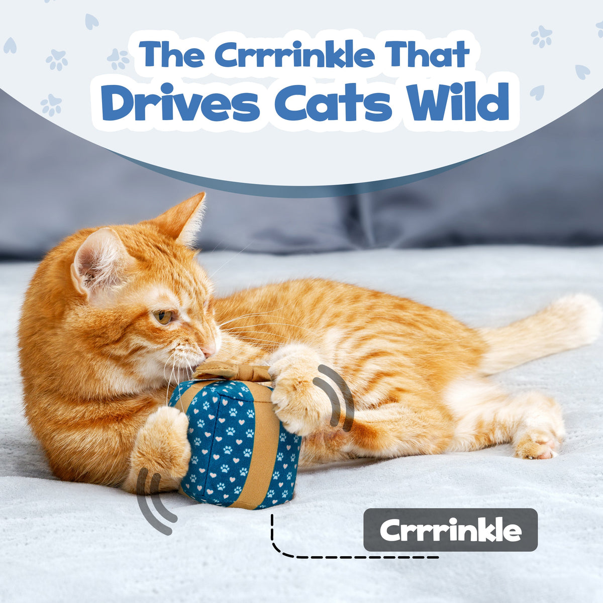 Gift Box Catnip & Crinkle Cat Toy