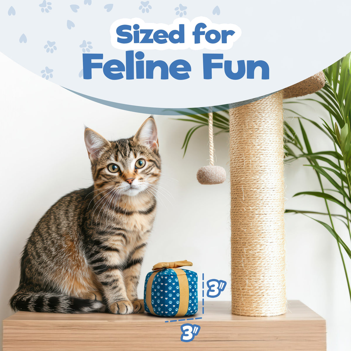 Gift Box Catnip & Crinkle Cat Toy