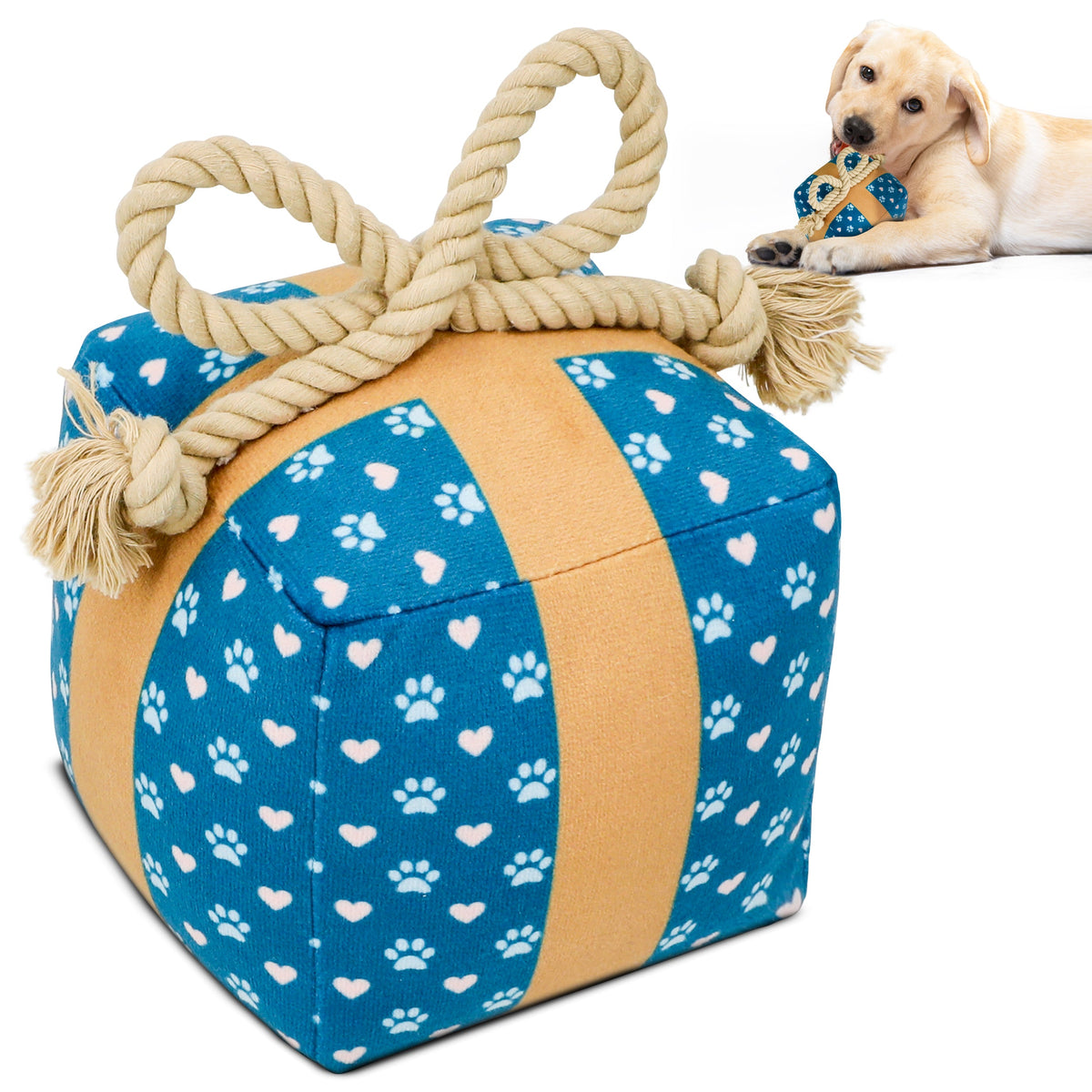 Gift Box Squeaky & Crinkle Dog Toy