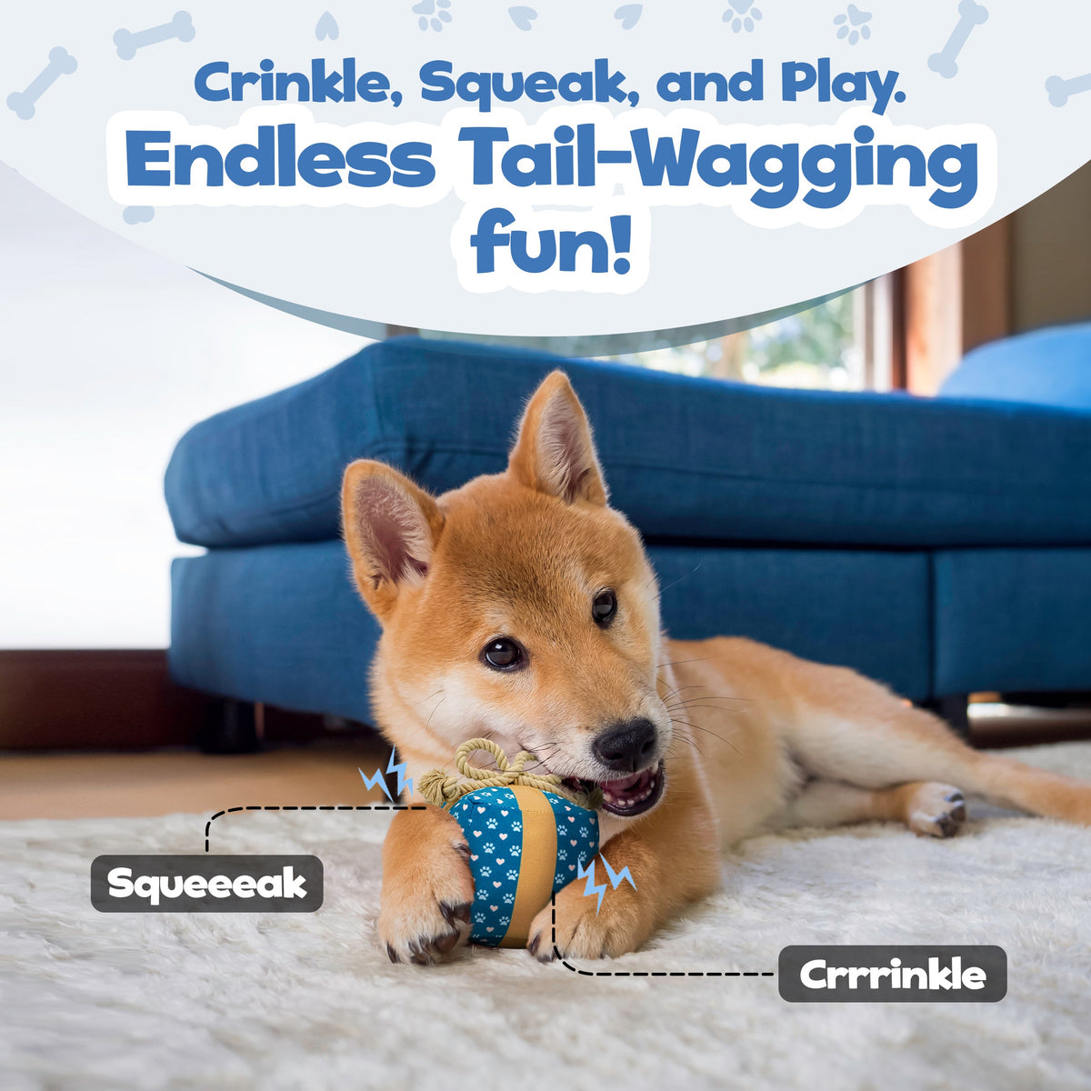 Gift Box Squeaky & Crinkle Dog Toy