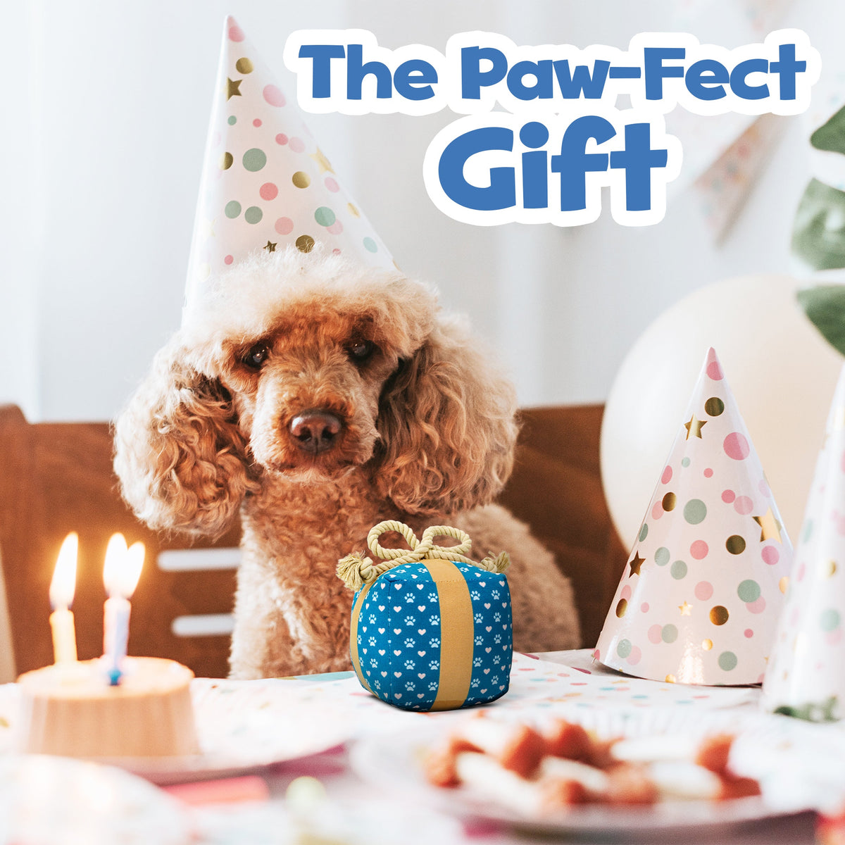 Gift Box Squeaky & Crinkle Dog Toy