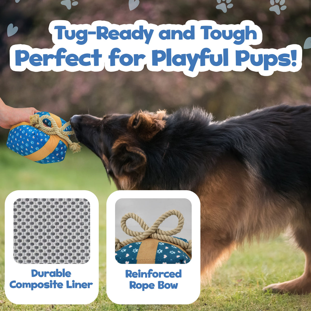 Gift Box Squeaky & Crinkle Dog Toy