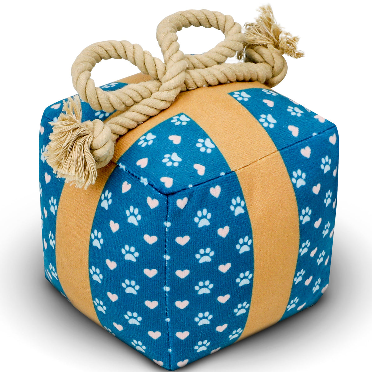 Gift Box Squeaky & Crinkle Dog Toy