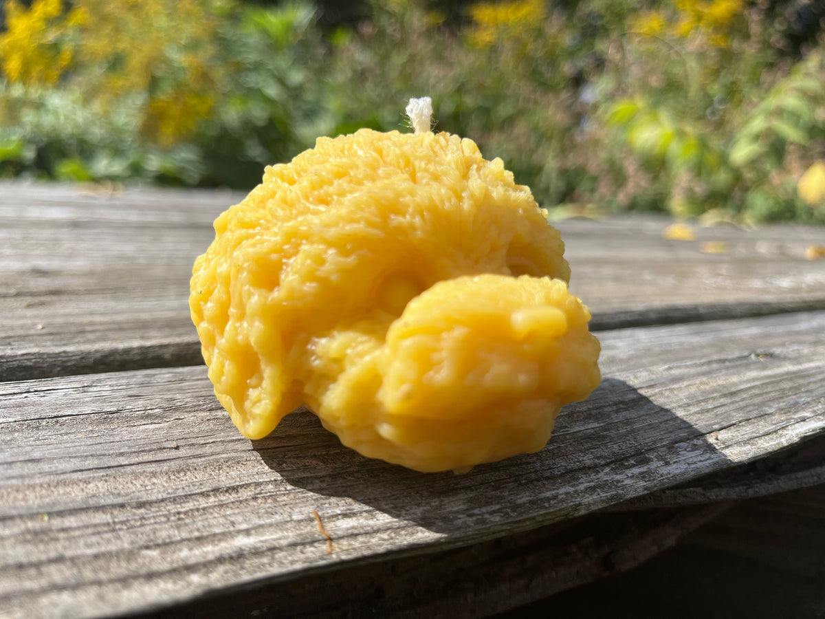 Beeswax Puppy Face Candle