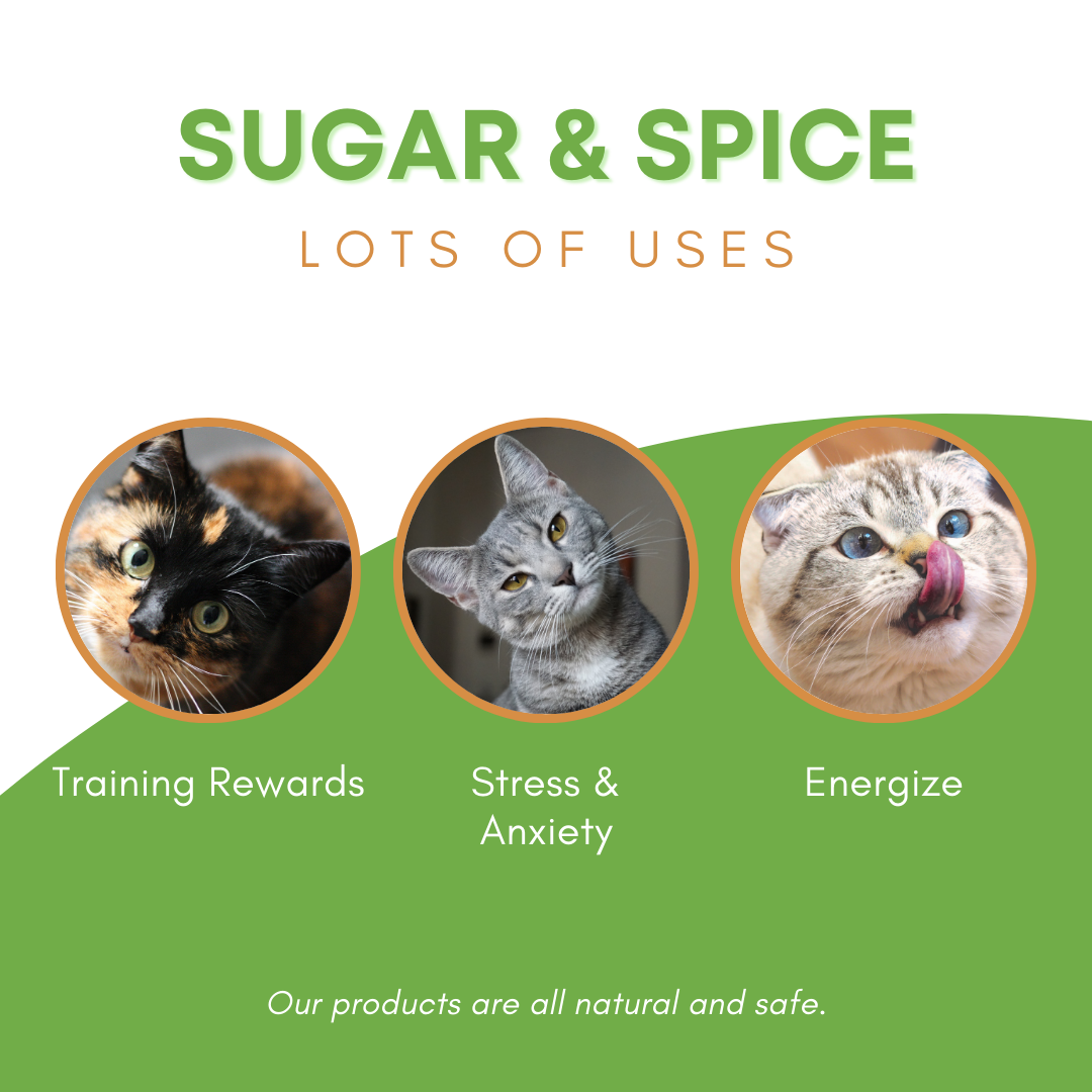 Sugar & Spice Natural Catnip | 1.5 oz Container