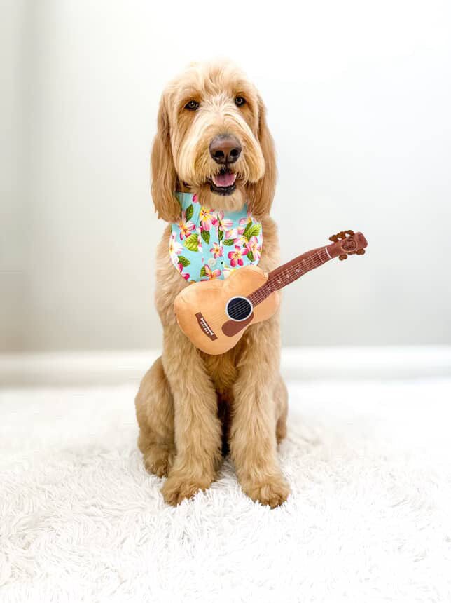 Guitar Squeaky & Crinkle Dog Toy