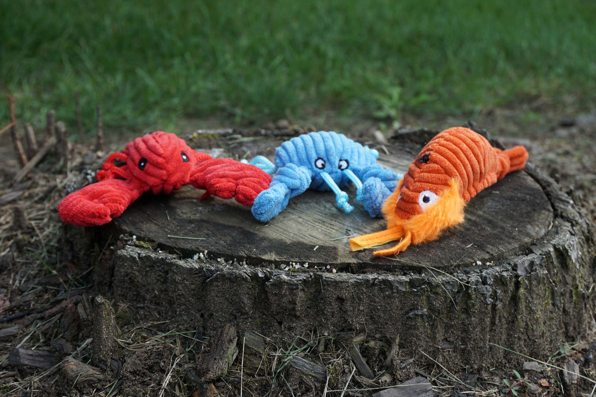 Raw Bar Wee Huggles® 3-Pack | Mini Plush Dog Toys