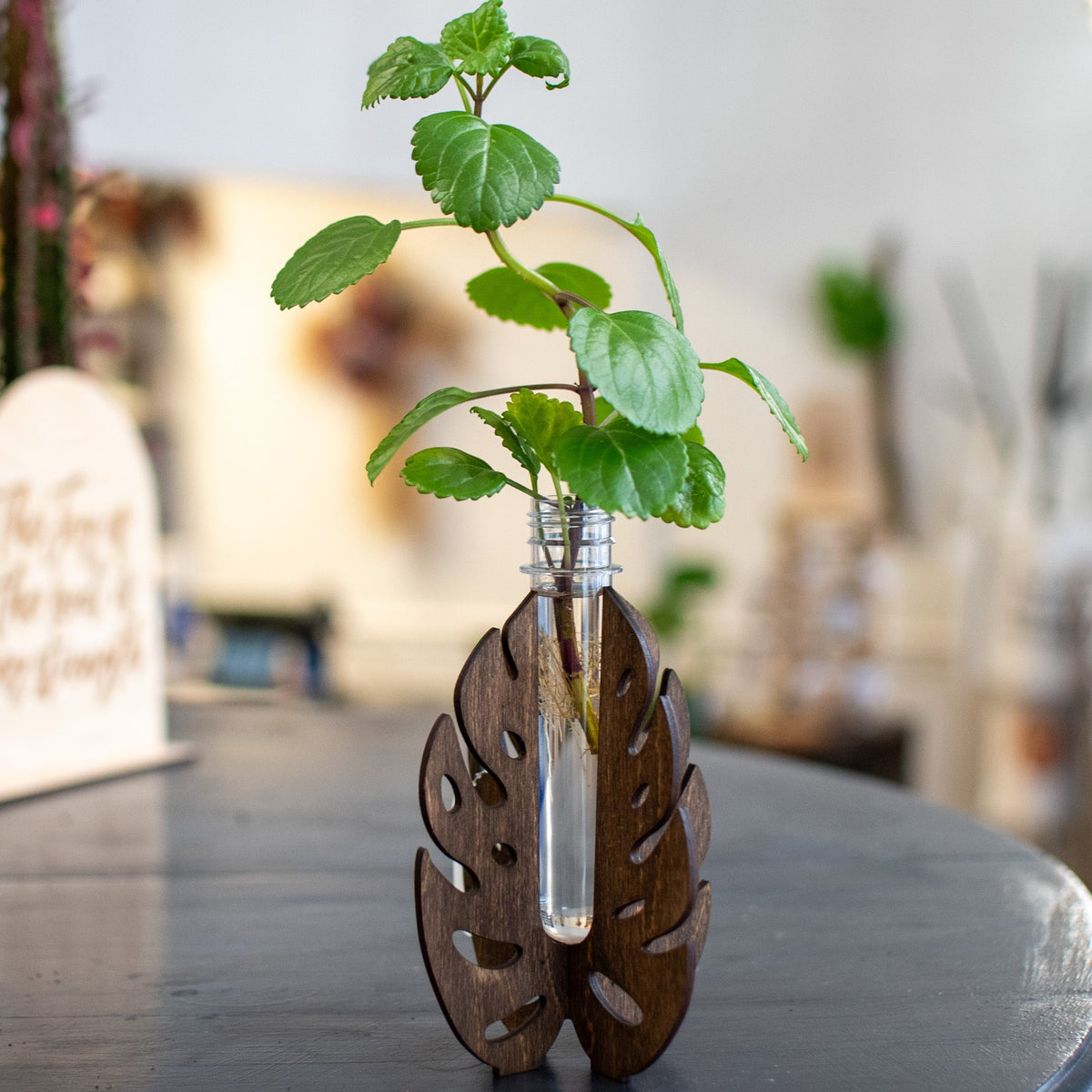 Propagation Station - Stand