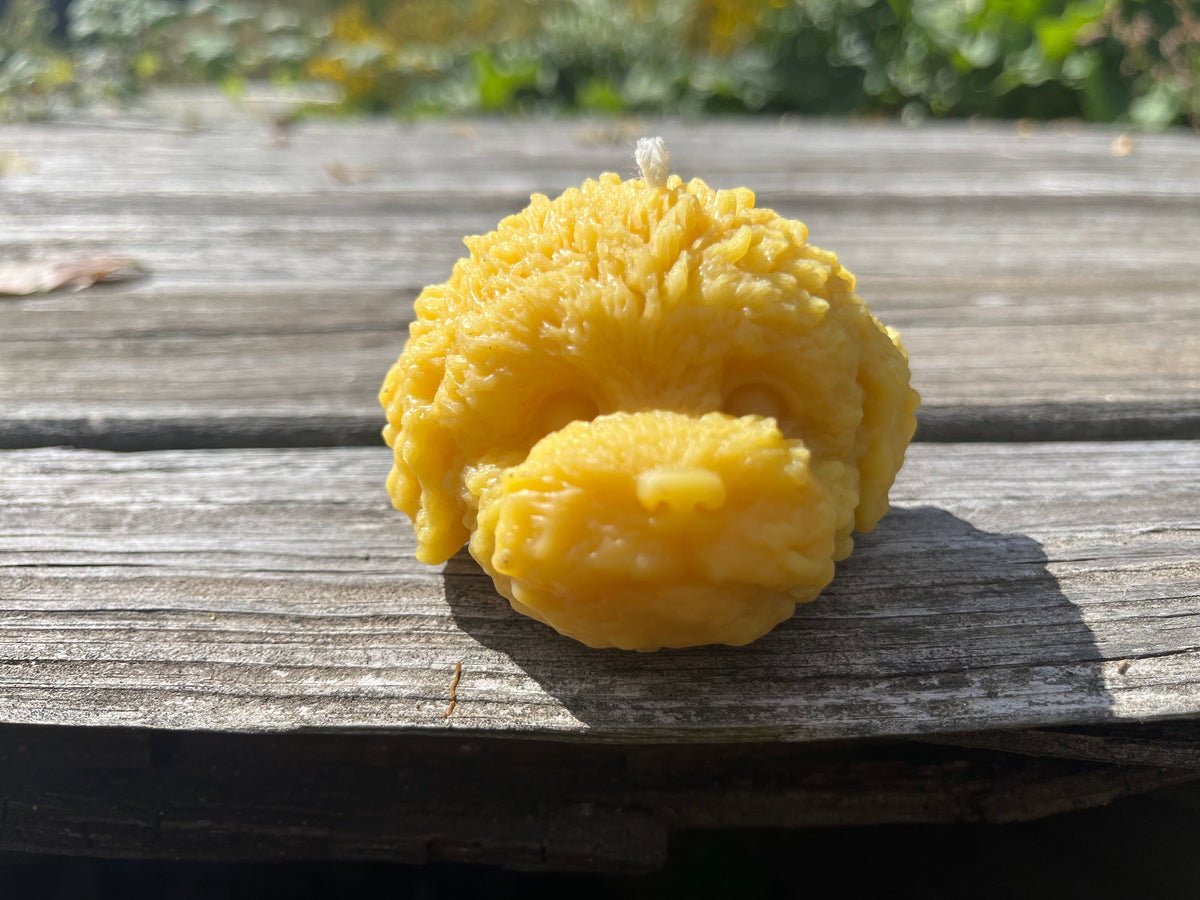 Beeswax Puppy Face Candle