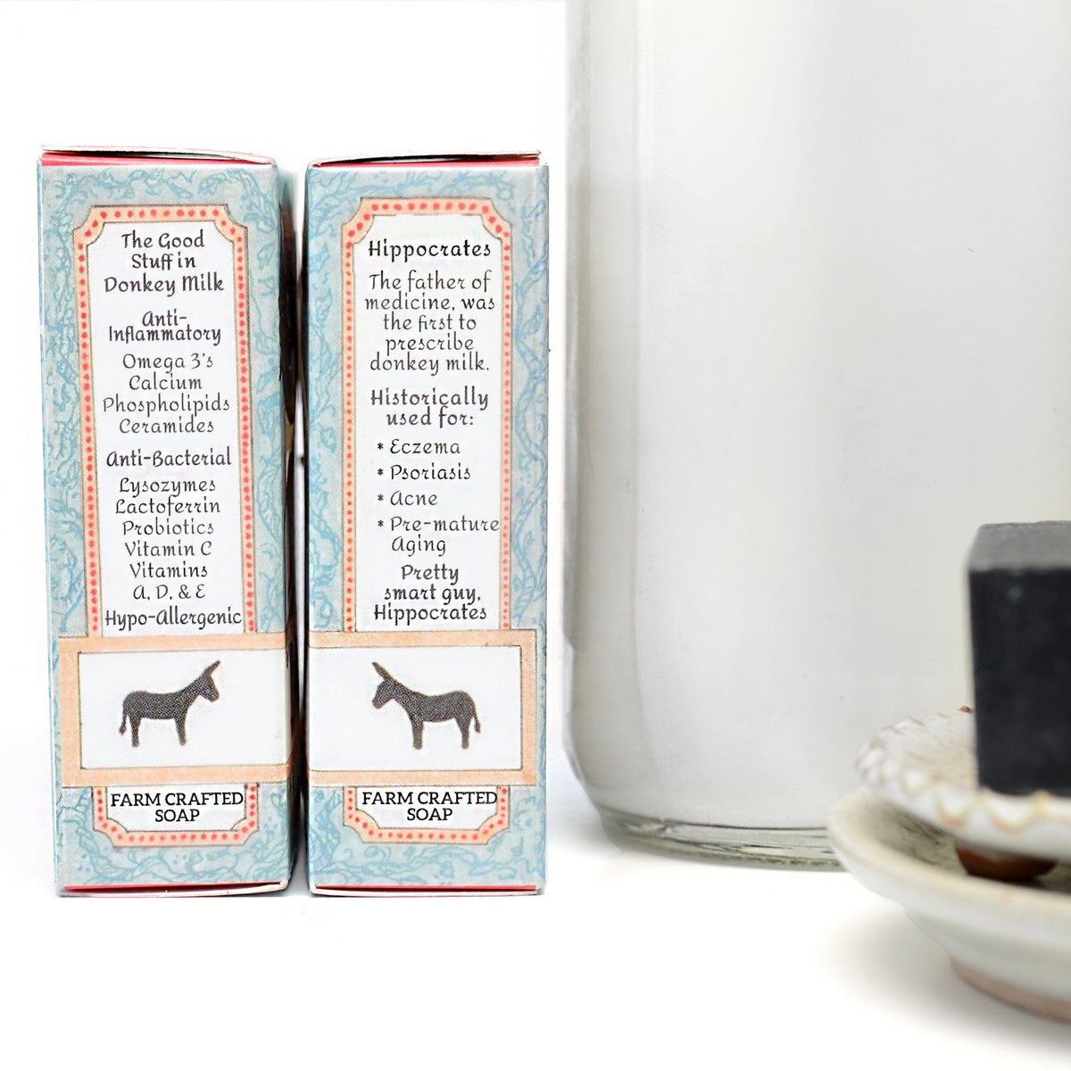 Activated Charcoal Donkey Milk Soap | 4.5 oz