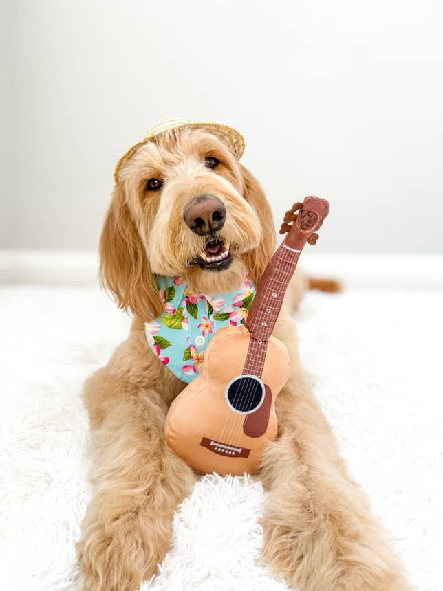 Guitar Squeaky & Crinkle Dog Toy