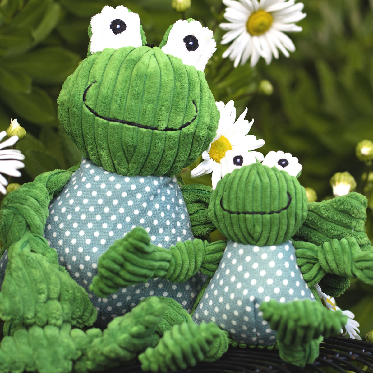 Fergie Frog Knottie® Plush Dog Toy | HuggleHounds