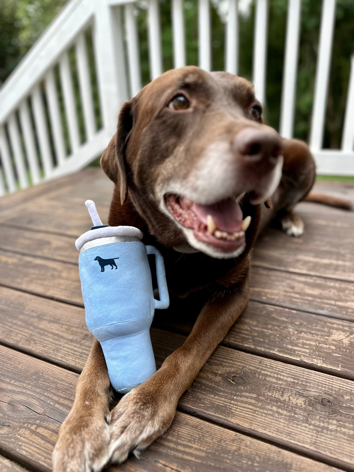 Pup Cup Squeaky Tumbler Dog Toy
