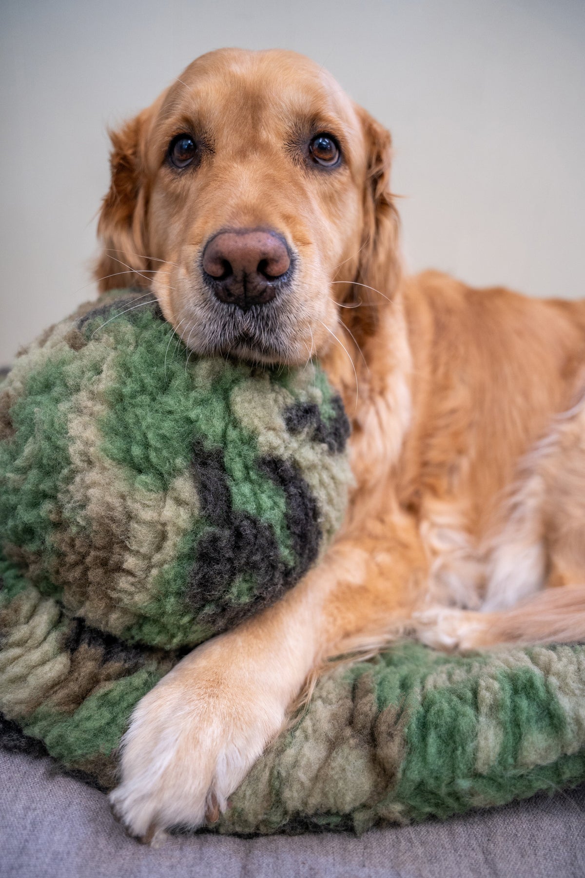 HuggleCause™ Camouflage Plush Dog Ball | Warrior Canine Connection