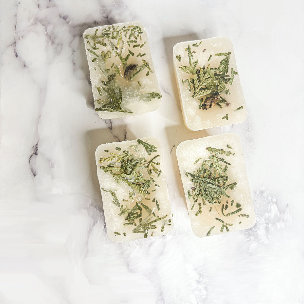 Christmas Tree XL Botanical Wax Melts