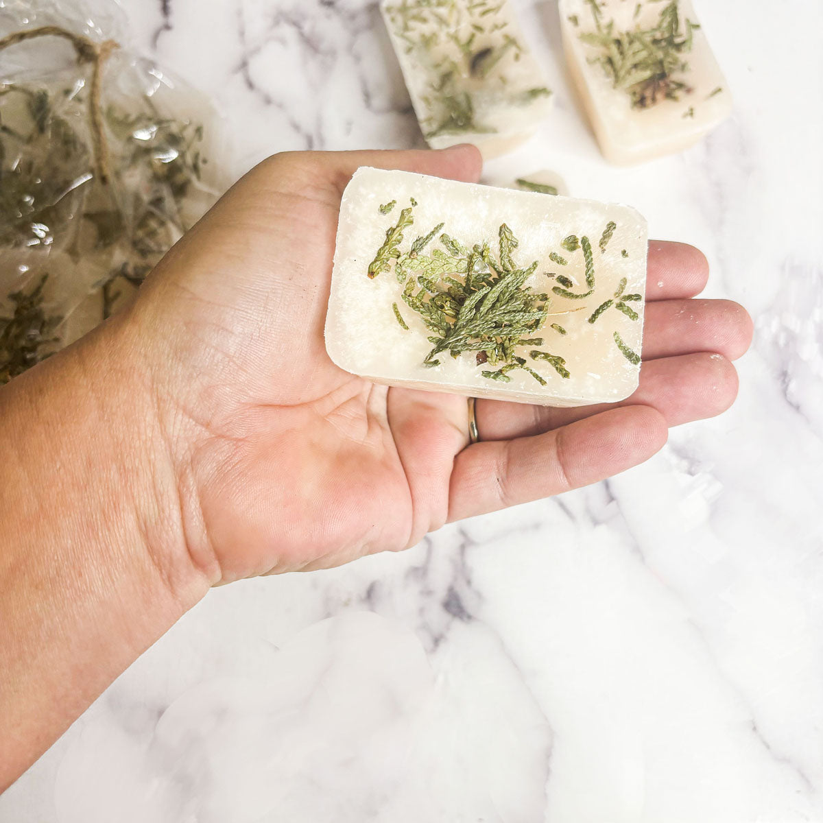 Christmas Tree XL Botanical Wax Melts