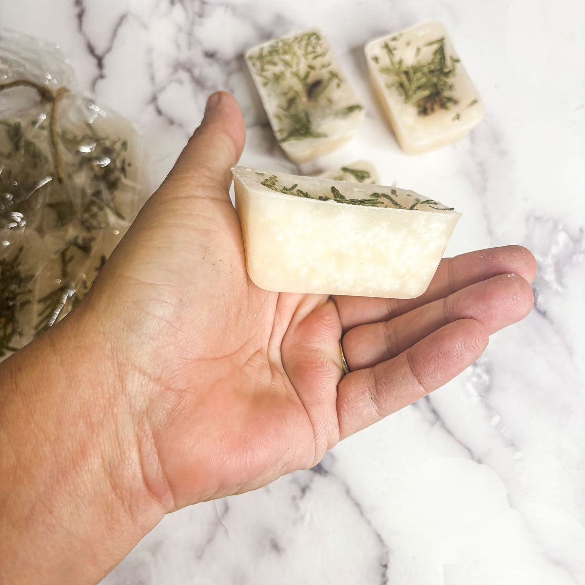 Christmas Tree XL Botanical Wax Melts