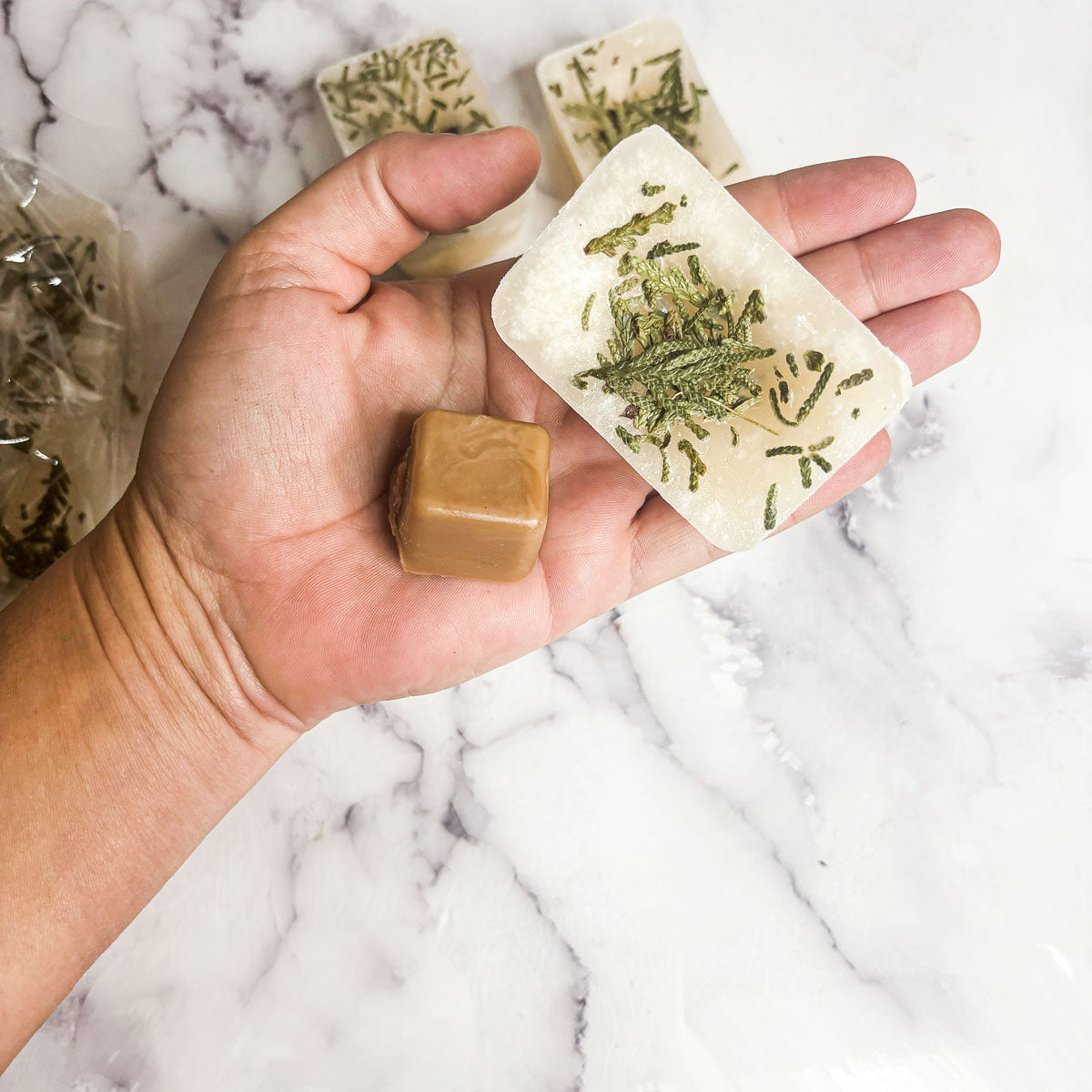 Christmas Tree XL Botanical Wax Melts
