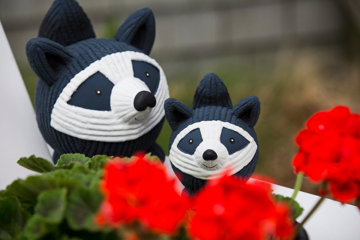 Reggie Raccoon Ruff-Tex® Squeaky Dog Ball
