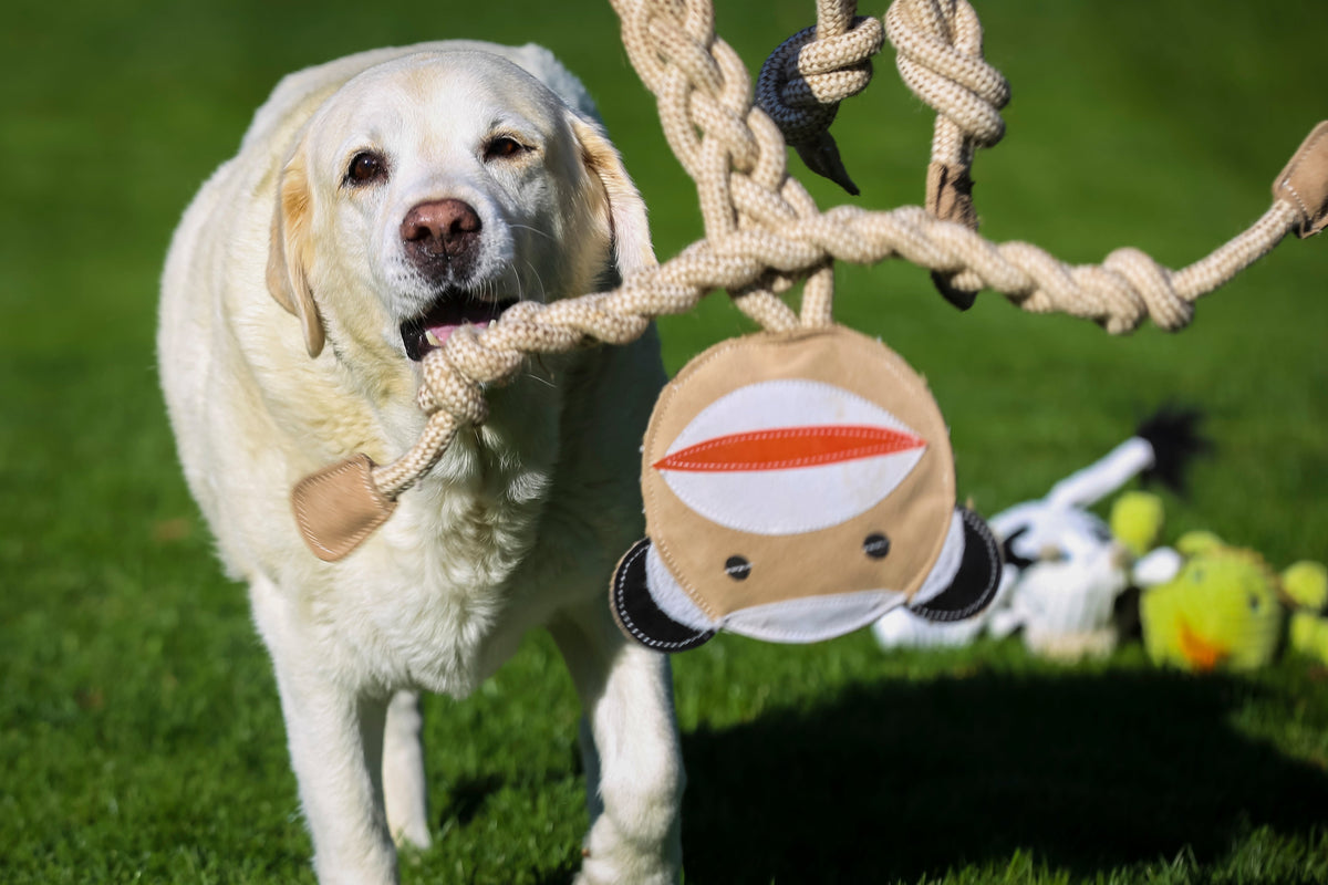 Stuey Sock Monkey Natural Rope Knottie® Dog Toy