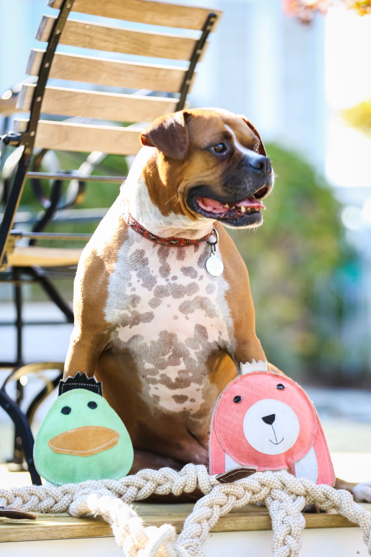Dilly Duck Natural Rope Dog Toy | HuggleHounds Knottie®