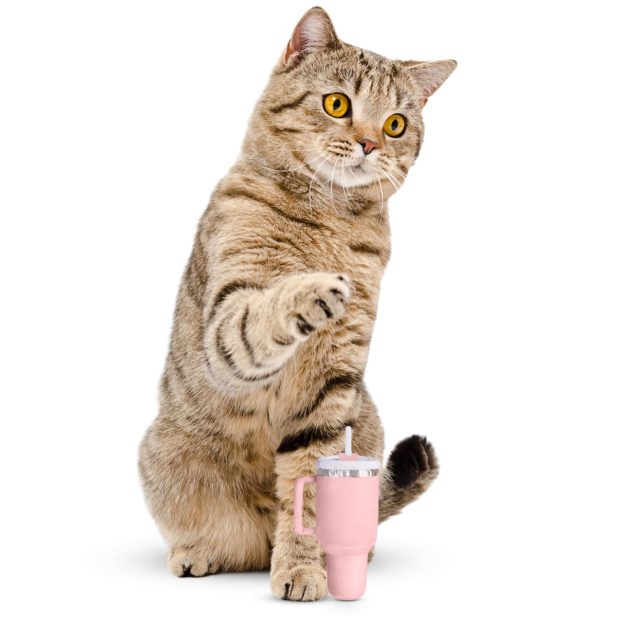 Give your pup a cup of their own with this plush tumbler dog toy featuring a built-in squeaker, soft exterior, and adorable drink-inspired design.
