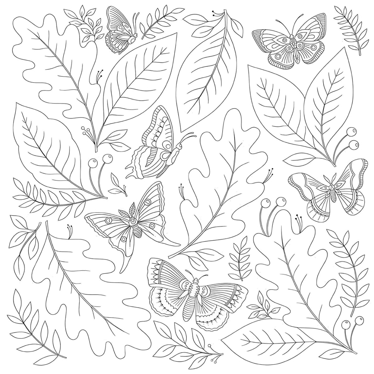 Nature's Wisdom: Coloring Our Beautiful World