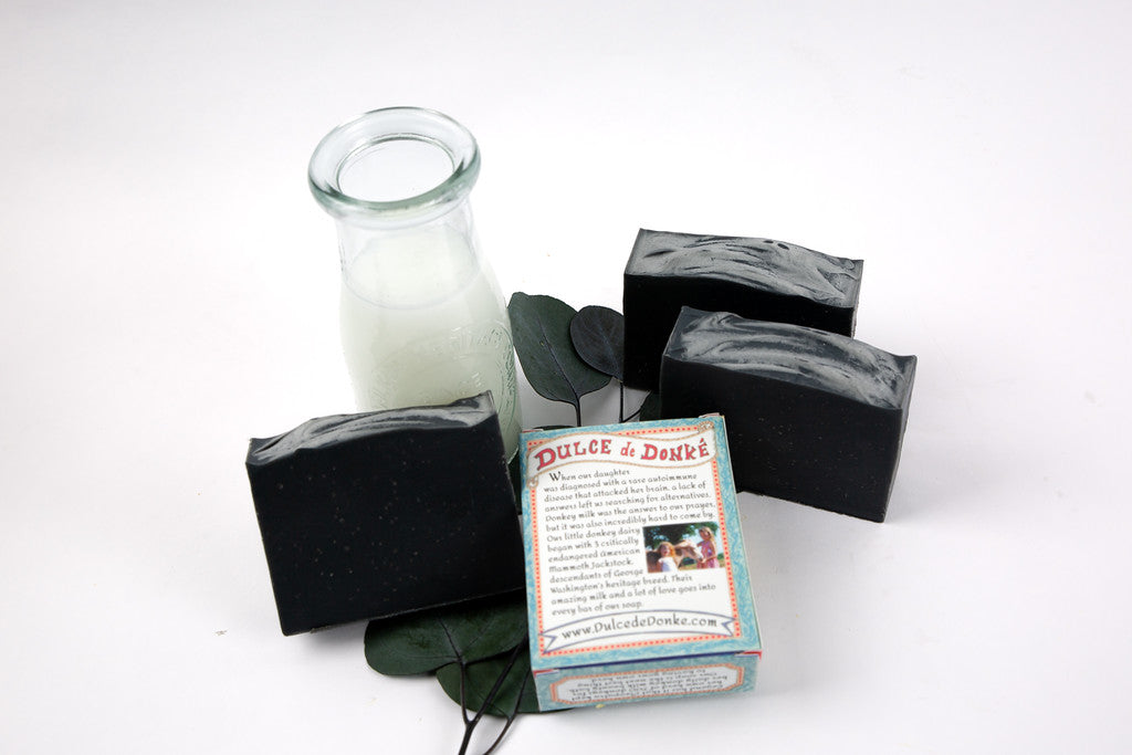 Activated Charcoal Donkey Milk Soap | 4.5 oz
