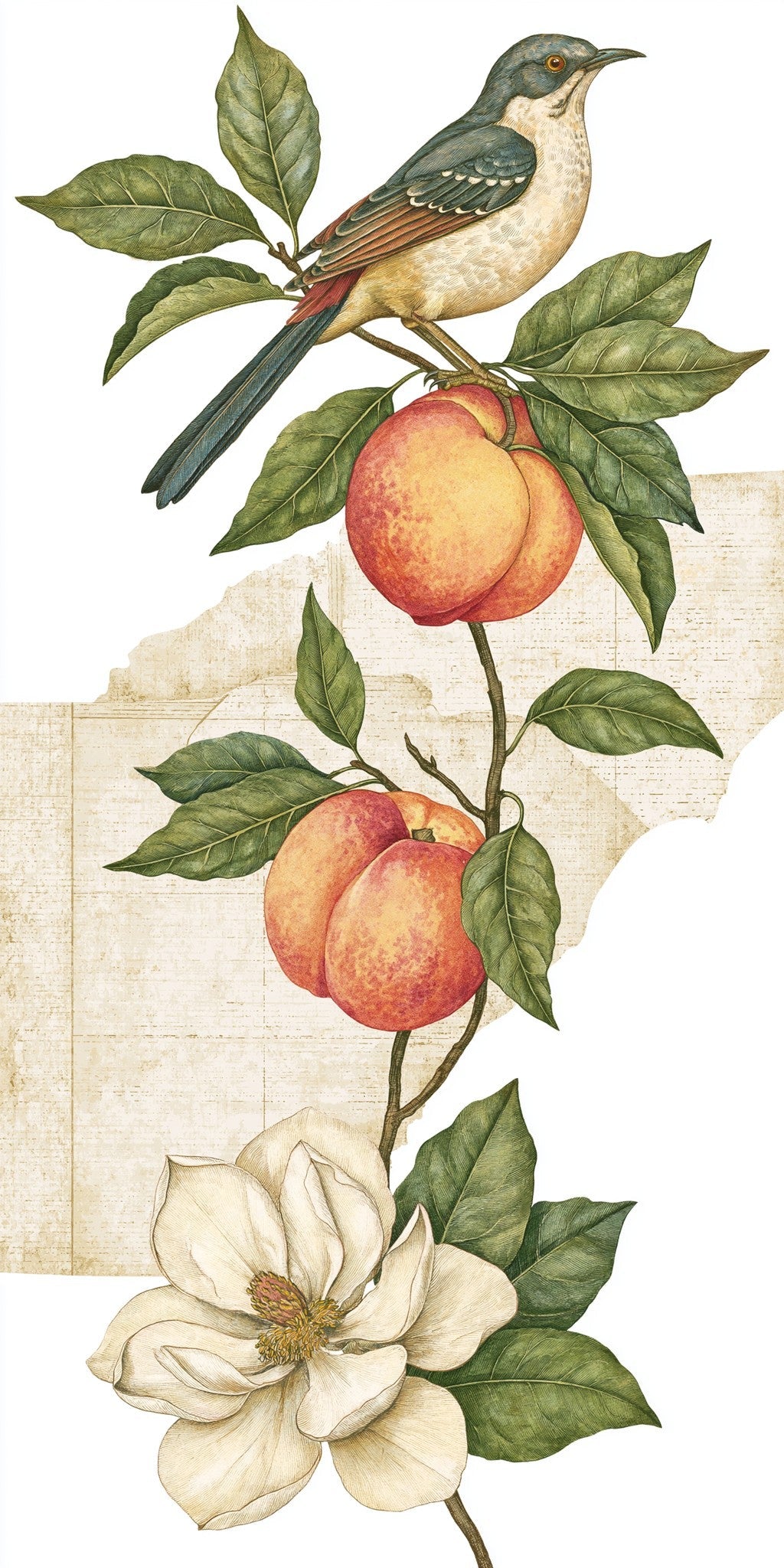 She's Choosing Georgia Earrings | Peach Branch Bird | SC10A