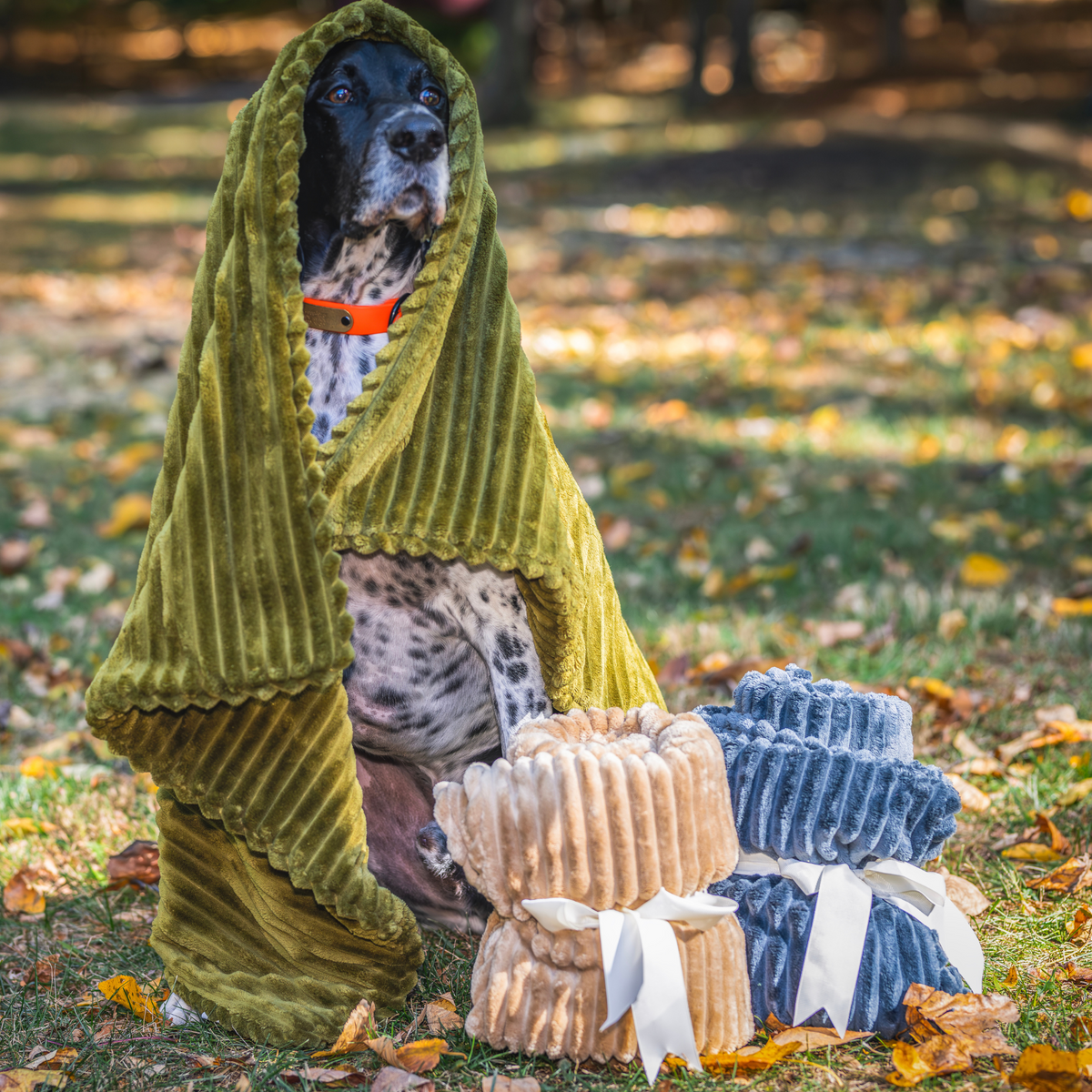 Scout Blankie™ Double-Sided Plush Dog Blanket | HuggleHounds