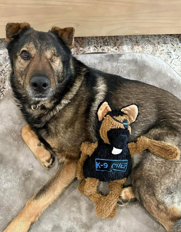 K-9 Chief Knottie® Plush Dog Toy | HuggleCause™