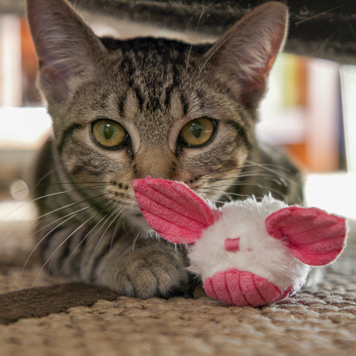 HuggleKats® Dust Bunnies Cat Toys – 3 Pack